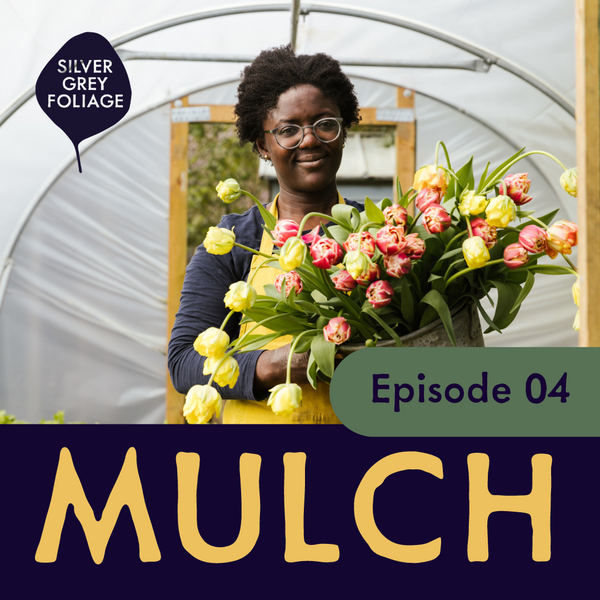 MULCH Episode 4 - Behind the scenes at Silver Grey Foliage Flower Farm January 2024
